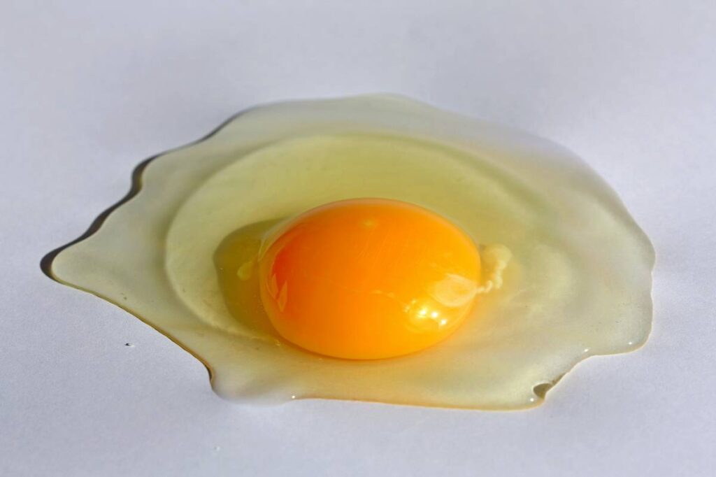 Microwave Egg Poacher Tool Equipment Needed: 7 Proven Tips to Avoid Frustrating Kitchen Failures